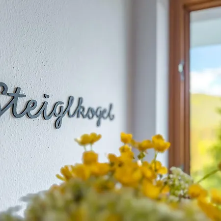Apartamento Haus Am Dachstein *