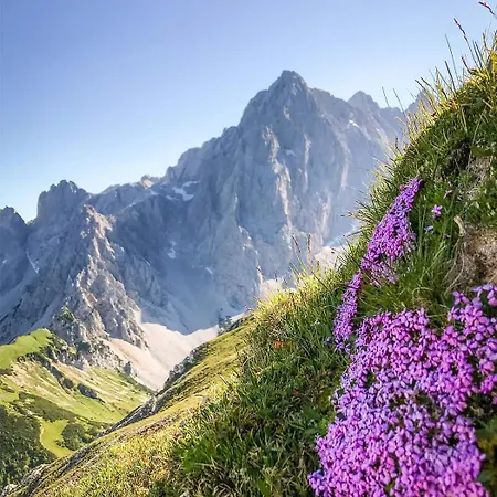 Haus Am Dachstein
