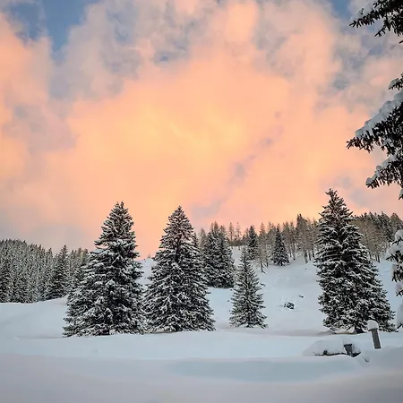 Apartamento Haus Am Dachstein *